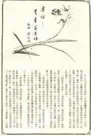 �����ĤG��P.1